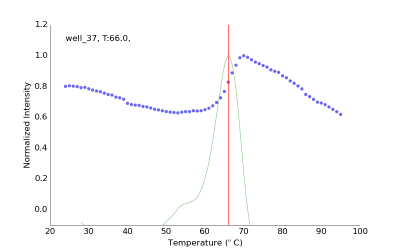Experimental fluorescence data from one representative well (blue dots), first derivative and calculated Tm of 66 ˚C.