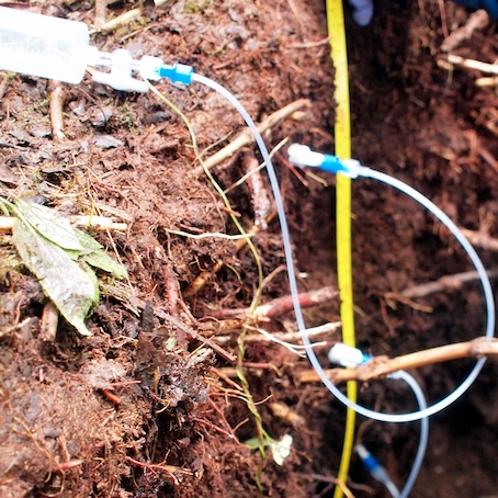 Rhizon samplers colleting soil pore water samples. Photo (C) J. Baronas