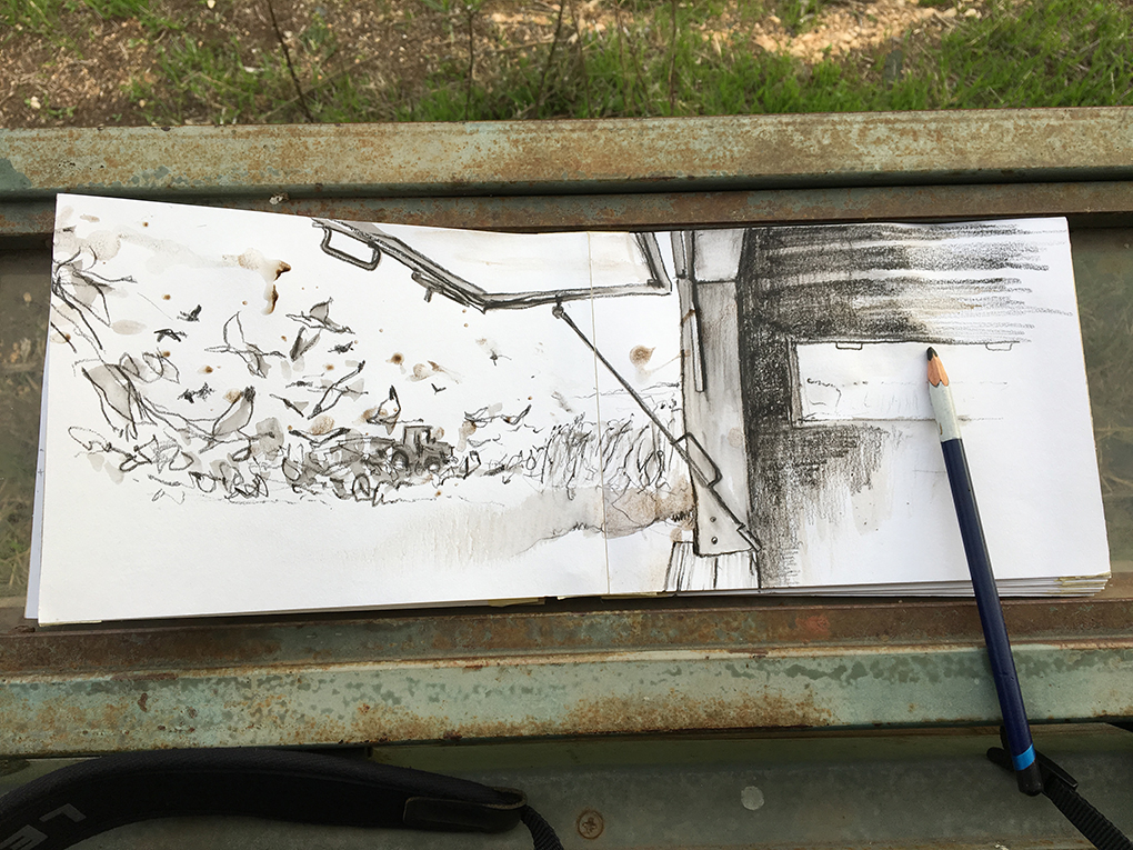 Photograph of a sketchbook and pencil on the windowsill of a bird hide in the Agamon Nature Park, Huleh Valley, israel-Palestine