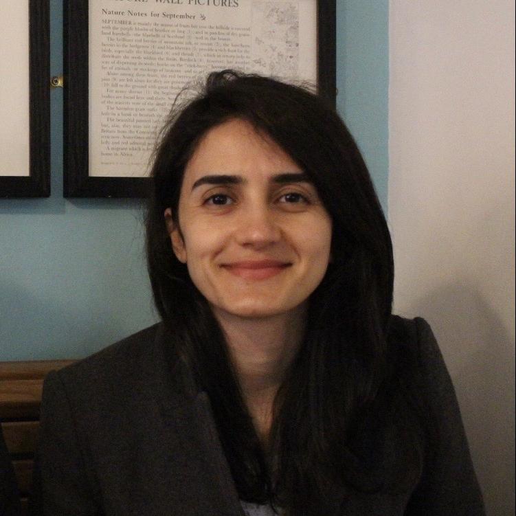 Demet Asli Caltekin