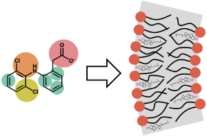 Corase-grained molecule and membrane