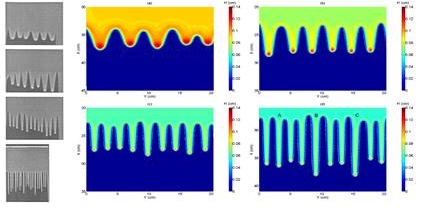 Formation of rivulet instability on solid surfaces