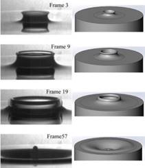 Crown formation on droplets splashing liquids