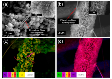 Analysis of electrodes after 15000 cycles in a two-terminal asymmetric supercapacitor: (a) SEM image of MoS2@CC (the inset is a high-resolution image of the same material); (b) SEM image of MnO2@CC; Element mapped images of: (c) MoS2@CC and (d) MnO2@CC.