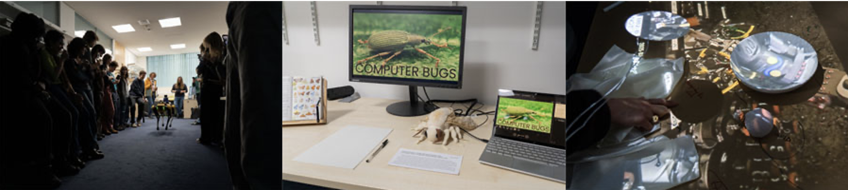 Photographs from the 2025 Nature Buffering exhibition