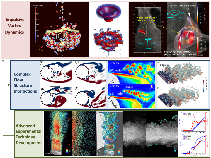 Pulsatile & Periodic Flows